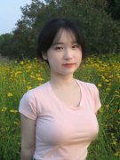 数平易近族